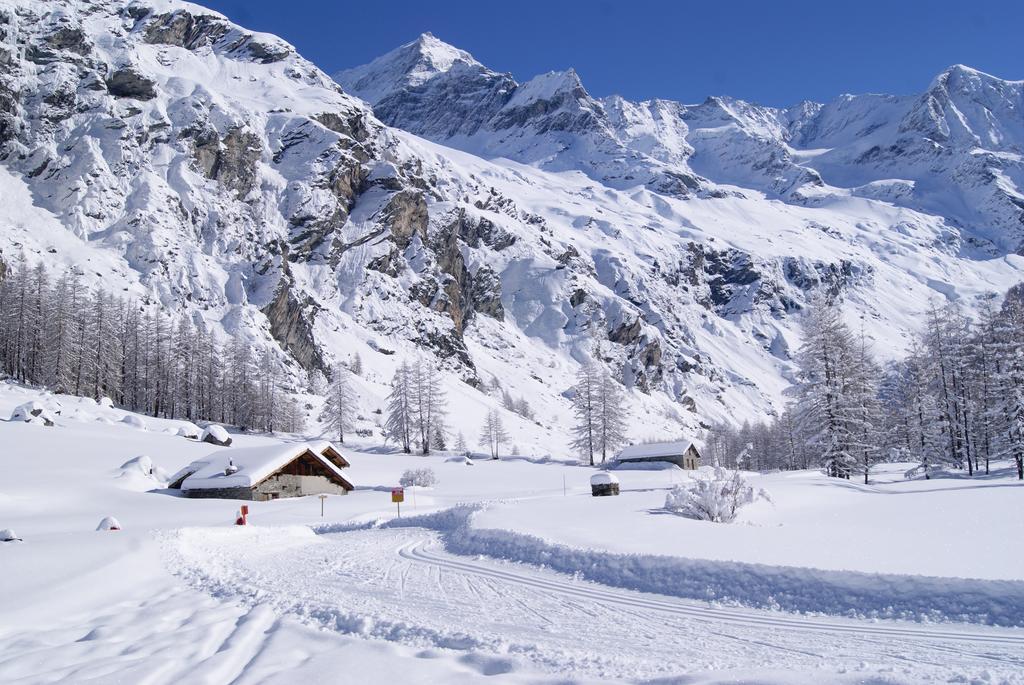 23 Praz De L'Ours Vallandry - Les Arcs Peisey-Nancroix Exteriör bild